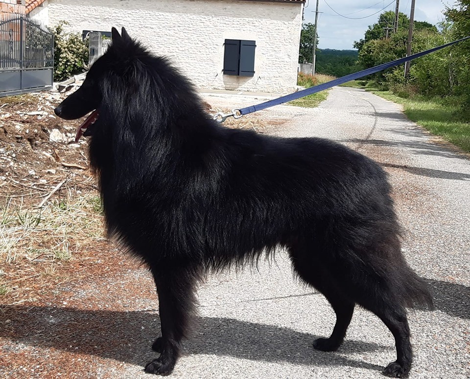 sr Nelson du Clos de L'Oppidum