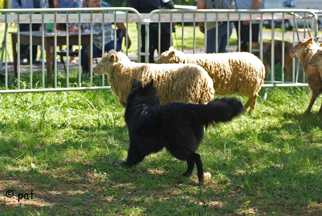 EPSYLONNE CANT ( 1) (1)