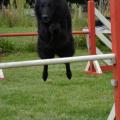 Eden en agility