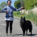 Grand Mère maternelle des chiots  Ruth de la Dynastie Cathare 11 ans avec sa propriétaire