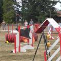 Eden en agility, AUBIGNY SUR NERE 2012