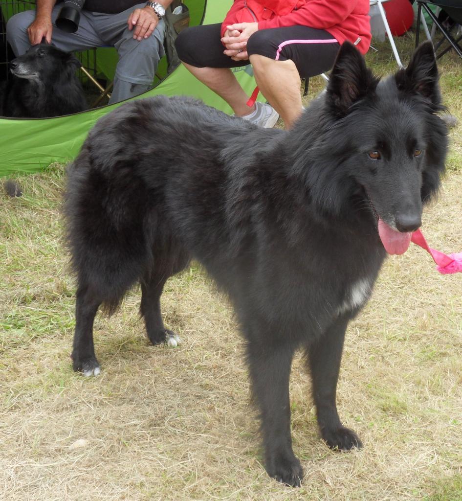 Eden du Clos de l'Oppidum