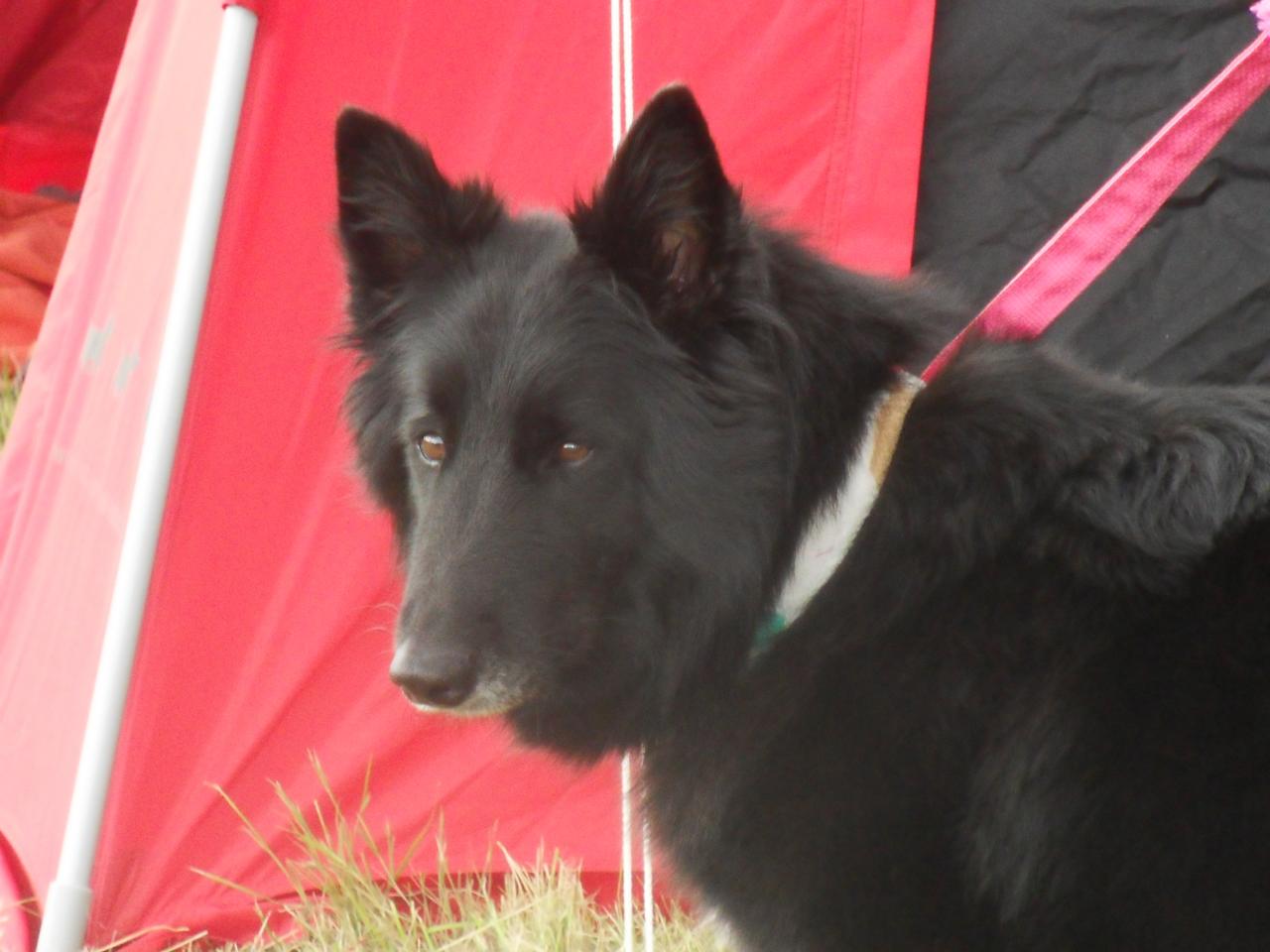 Eden du Clos de l'Oppidum